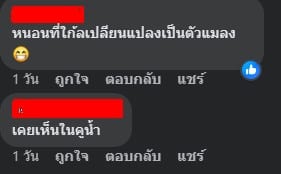 หนอนในน้ำลำไย