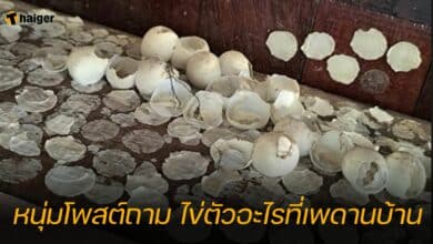 หนุ่มโพสต์ถาม ไข่ตัวอะไรที่เพดานบ้าน เฉลยสุดพีค