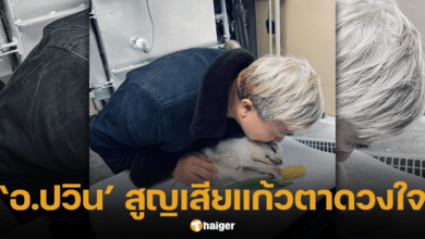 อ.ปวิน โพสต์เศร้า หมาที่เลี้ยงไว้ เสียชีวิต
