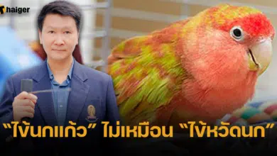 อ.เจษฎา ยืนยัน ไข้นกแก้ว ไม่ใช่ โรคไข้หวัดนก