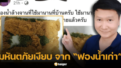 อ.เจษฎา แนะแม่บ้าน เปลี่ยน ฟองน้ำล้างจาน ทุก 1 เดือน ห่างโรค