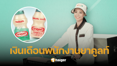 เงินเดือน ‘พนักงานยาคูลท์’ ฐานรายได้สูง-ต่ำ มีโบนัสประจำปีไหม เช็กสวัสดิการ
