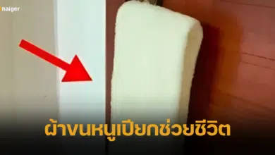 เฉลยแล้ว ทำไมโรงแรม แขวนผ้าขนหนูเปียก ที่ลูกบิดประตูห้องพัก
