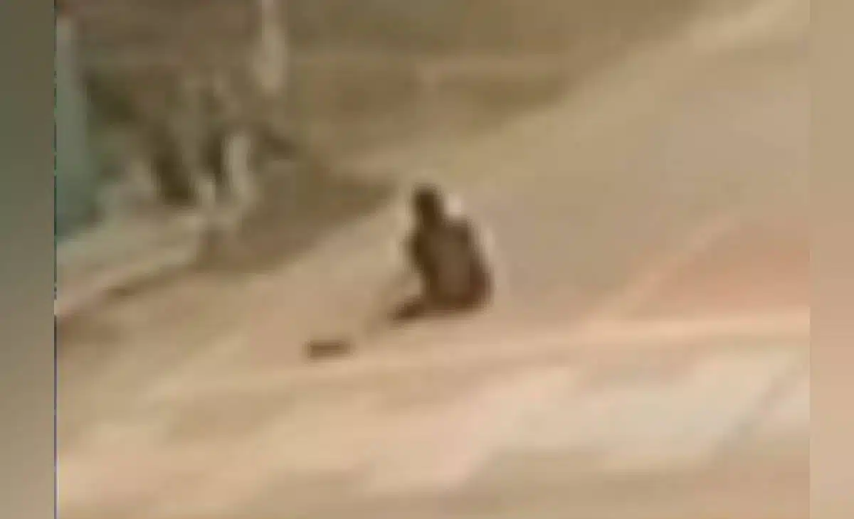 เด็ก 13 สุโขทัย