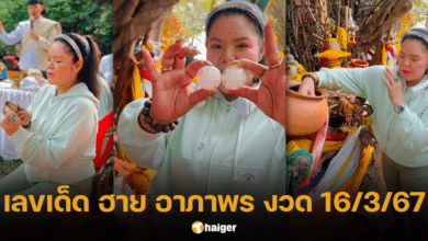 เลขเด็ด ฮาย อาภาพร งวด 16 3 67