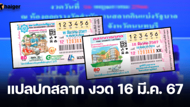 แปลปกสลาก 16 3 67