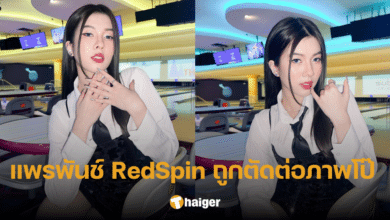 แพรพันช์ RedSpin จ่อเอาเรื่อง ร้องปอท. ตรวจสอบบัญชี คุกคาม-ตัดต่อรูปอนาจาร