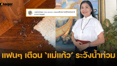 แม่แก้ว เห็น มดขนไข่ ชาวเน็ตเตือน ระวังเรื่องน้ำท่วม