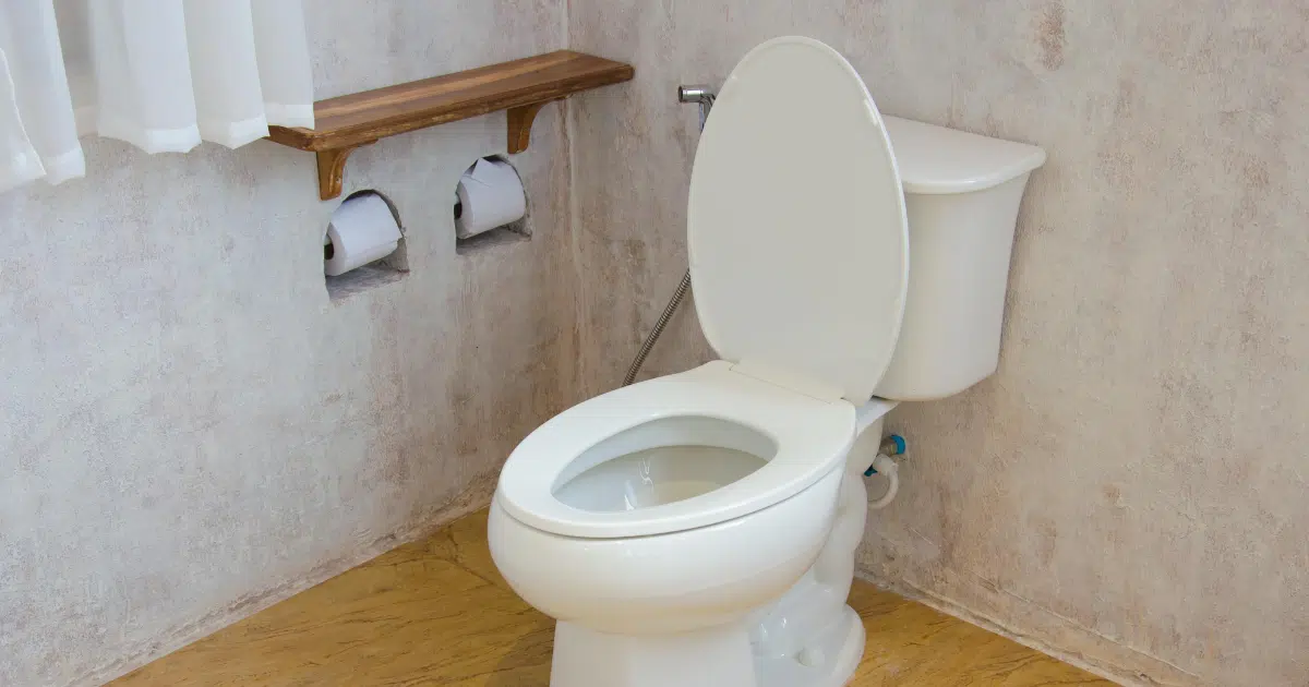 เทน้ำแข็งในชักโครก