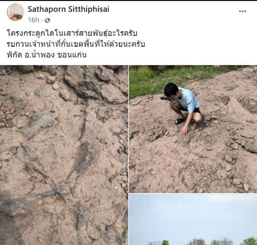 โครงกระดูกไดโนเสาร์ น้ำพอง