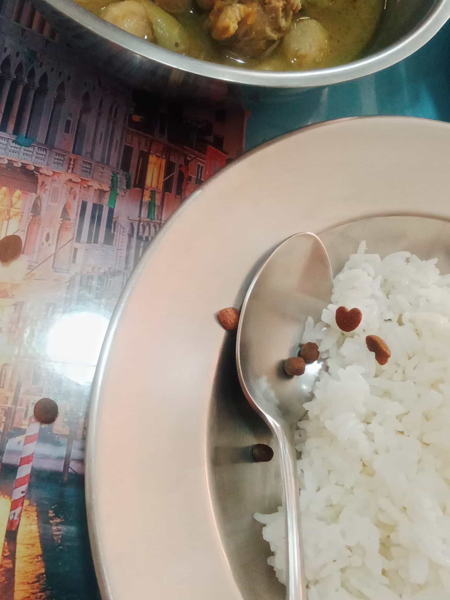 ไวรัล แมวให้อาหารทาส