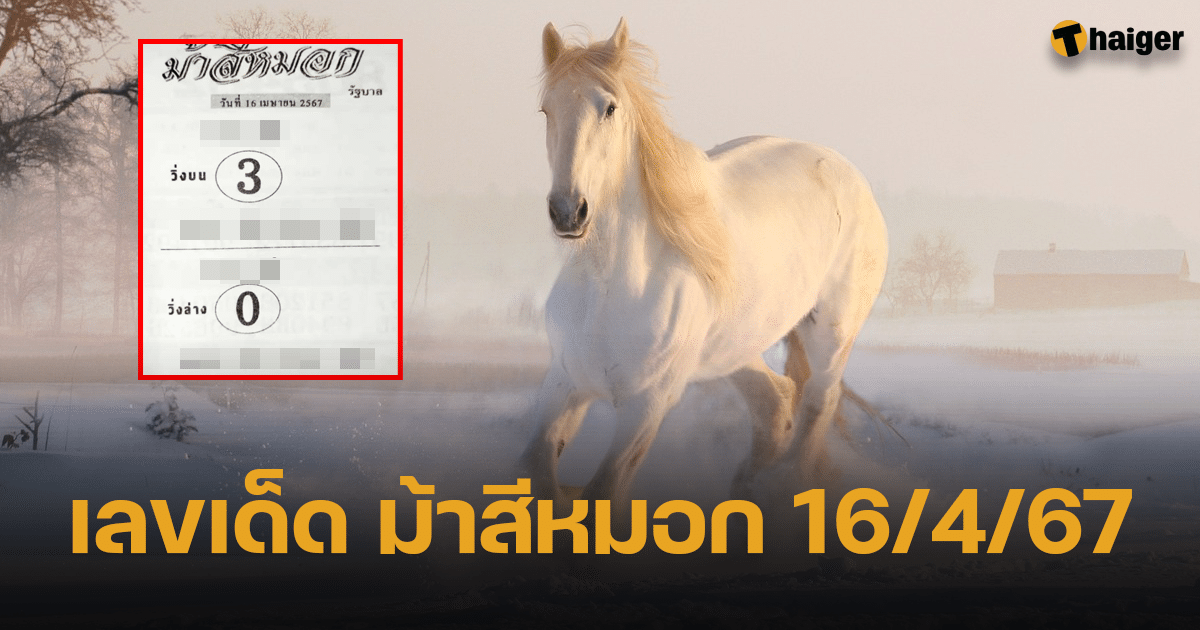 ม้าสีหมอก 16 เม.ย. 67 ควบเงินล้านมาก่อนใคร ลุ้นรับโชคเน้น ๆ รับวันสงกรานต์ | Thaiger ข่าวไทย