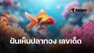 ฝันเห็นปลาทอง เลขเด็ด ทำนายฝัน