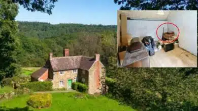 ประกาศขายลบ้านหลอน อายุ 200 ปี