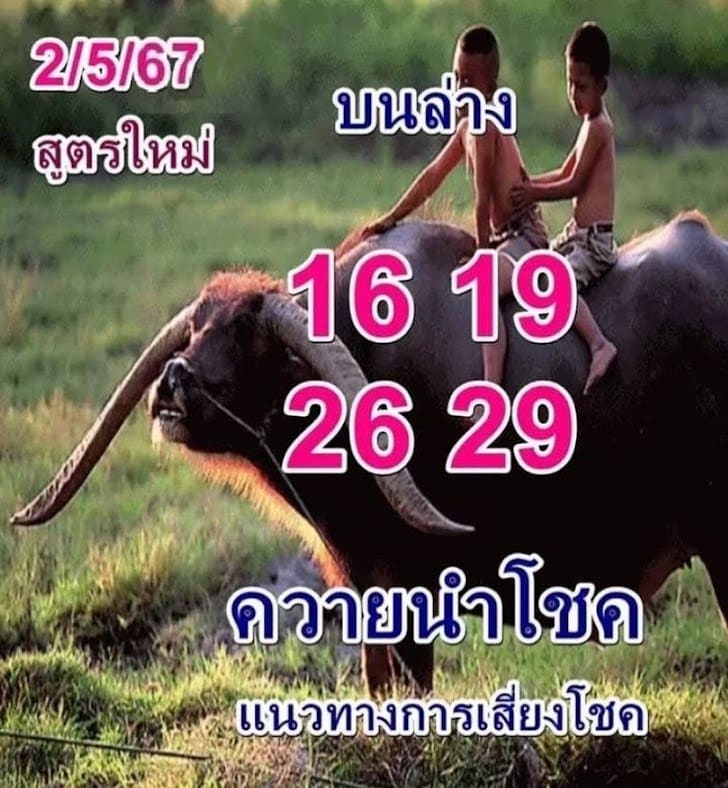 ควายนำโชค 2 5 67
