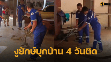 งูเข้าบ้าน 4 วันติด คอหวยอึ้ง บ้านเลขที่ อายุเจ้าของ จำนวนงู เป็นเลขเดียวกัน