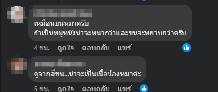ชาวเน็ตช่วยกันหาคำตอบ