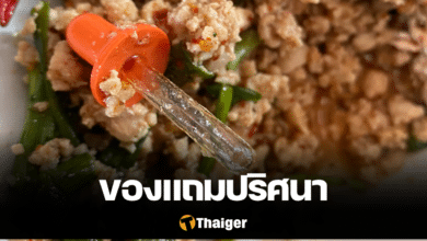 ดรอปเปอร์ ผัดกระเพรา