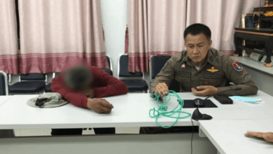 ตาข่มขืนหลาน