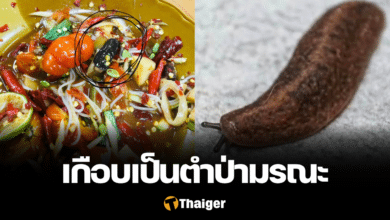 ตำป่า ตัวลิ้นหมา