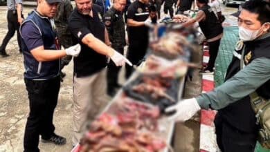 ของกลาง ขายซากสัตว์ ในตลาดนัด