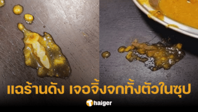 วอนสคบ. ช่วย ซดซุปเจอหางจิ้งจก ซ้ำเขี่ยดูเจอทั้งตัว ร้านขอโทษ แต่ไม่รับผิดชอบ