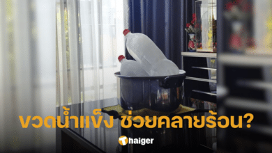 วางน้ำแข็งคลายร้อน ได้ผลจริงหรือ 'อ.เจษฎา' ไขกระจ่าง ไม่ช่วยลดปัญหาค่าไฟ