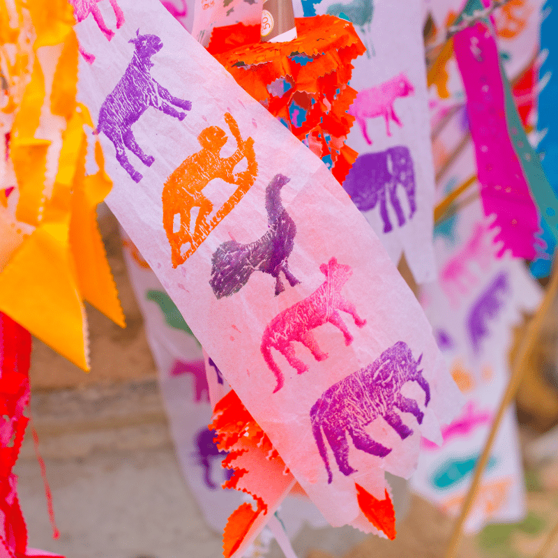 สถานที่เล่นน้ำสงกรานต์ 2567 ภาคเหนือ