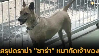 สรุปดราม่า ซาร่า หมากัดเจ้าของ เสียชีวิตแล้ว