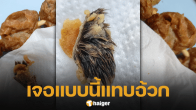 สาวอ้วกพุ่ง เจอกระจุกขนปริศนา ในลูกชิ้นทอด โพสต์ถามชาวเน็ต คือขนอะไร