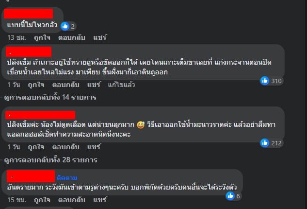ปลิงเข็มเกาะขาหลังลงเล่นน้ำ