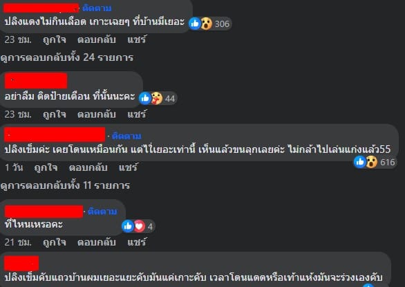 สาวโพสต์ถาม ตัวอะไรเกาะขา