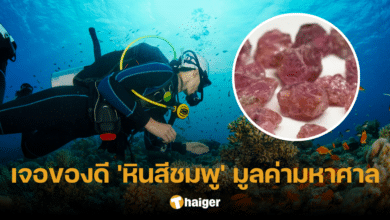 หนุ่มดำน้ำเจอ 'หินสีชมพู' ราคาขายกว่า 2.7 ล้าน ตัดใจไม่ขาย ขอเก็บไว้เพื่อสิ่งนี
