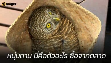 หนุ่มถาม นี่คือตัวอะไร ซื้อจากตลาด