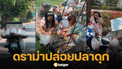ฮาย อาภาพร เหมาปลาไปปล่อย แต่กลับเจอดราม่า ทำบุญแต่ไม่หาข้อมูล