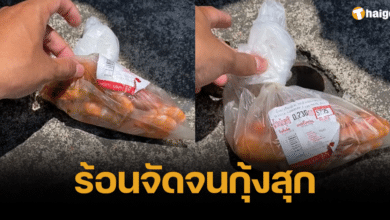 แดดเมืองไทย ร้อนมากจนกุ้งสุกแบบไม่ต้องลงเตา