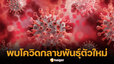 โอมิครอน KP.3 โควิดกลายพันธุ์ตัวใหม่ พบในไทยแล้ว 2 ราย