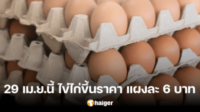 ไข่ไก่ ขึ้นราคาอีกแล้ว แผงละ 6 บาท ฟองละ 20 สตางค์ มีผลวันนี้ 29 เม.ย. 67
