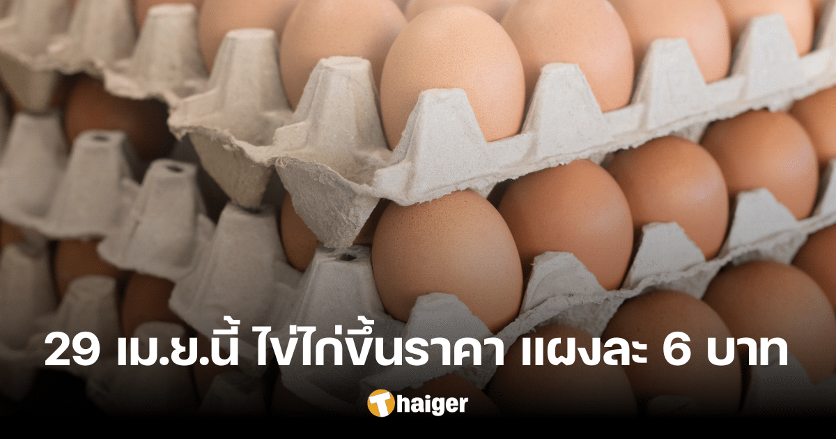 ไข่ไก่ ขึ้นราคาอีกแล้ว แผงละ 6 บาท ฟองละ 20 สตางค์ มีผลวันนี้ 29 เม.ย. 67