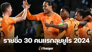 เนเธอร์แลนด์ ยูโร 2024