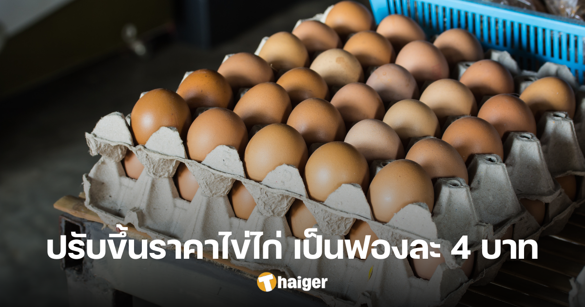 Chicken eggs increase in price 29 May 2024