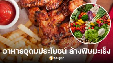 Fried food fried at high temperatures can easily cause cancer