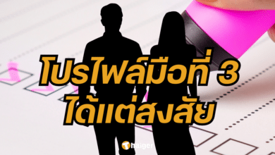 โปรไฟล์ สาวคนใหม่สามีนางร้าย