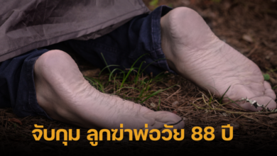 Thai son murders his dad for money