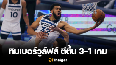 ทิมเบอร์วูล์ฟส์ แมฟเวอร์ริกส์