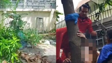 ตาปีนตัดต้นไม้ ถูกเหล็กเสียบ