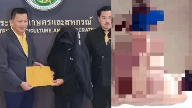 แฉพฤติกรรมบิ๊กกระทรวงเกษตร