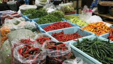 ราคาพริกขี้หนูวันนี้