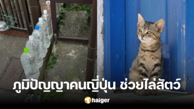 กลเม็ดคนญี่ปุ่น วางขวดน้ำดื่มไว้หน้าบ้าน ช่วยป้องกันสิ่งนี้