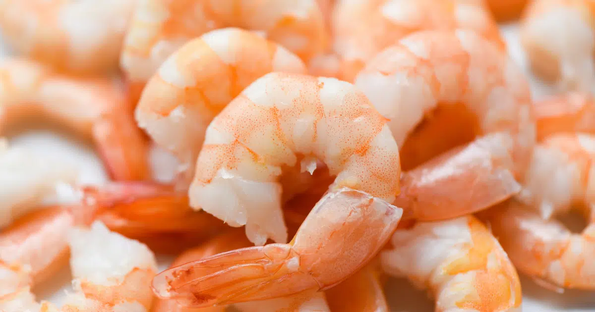 กุ้งต้ม